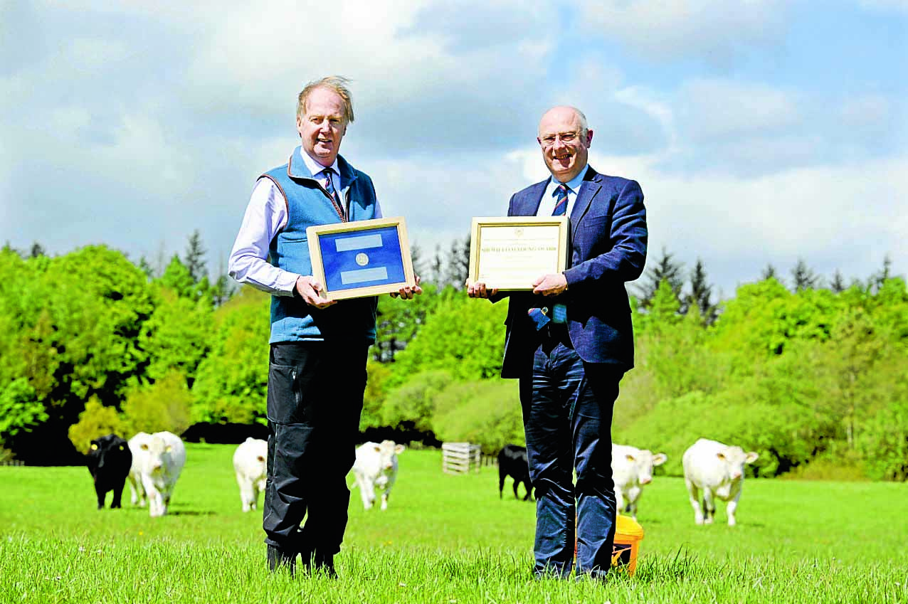 Annandale farmer wins prestigious award