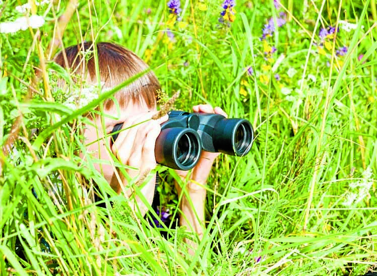 Wildlife bloggers wanted
