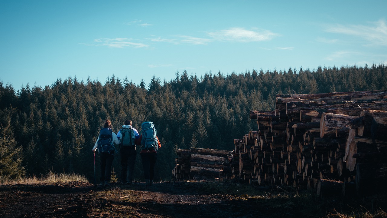 Five year plan to boost DofE scheme in D&G