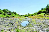Rivers on ‘alert’ for dry conditions