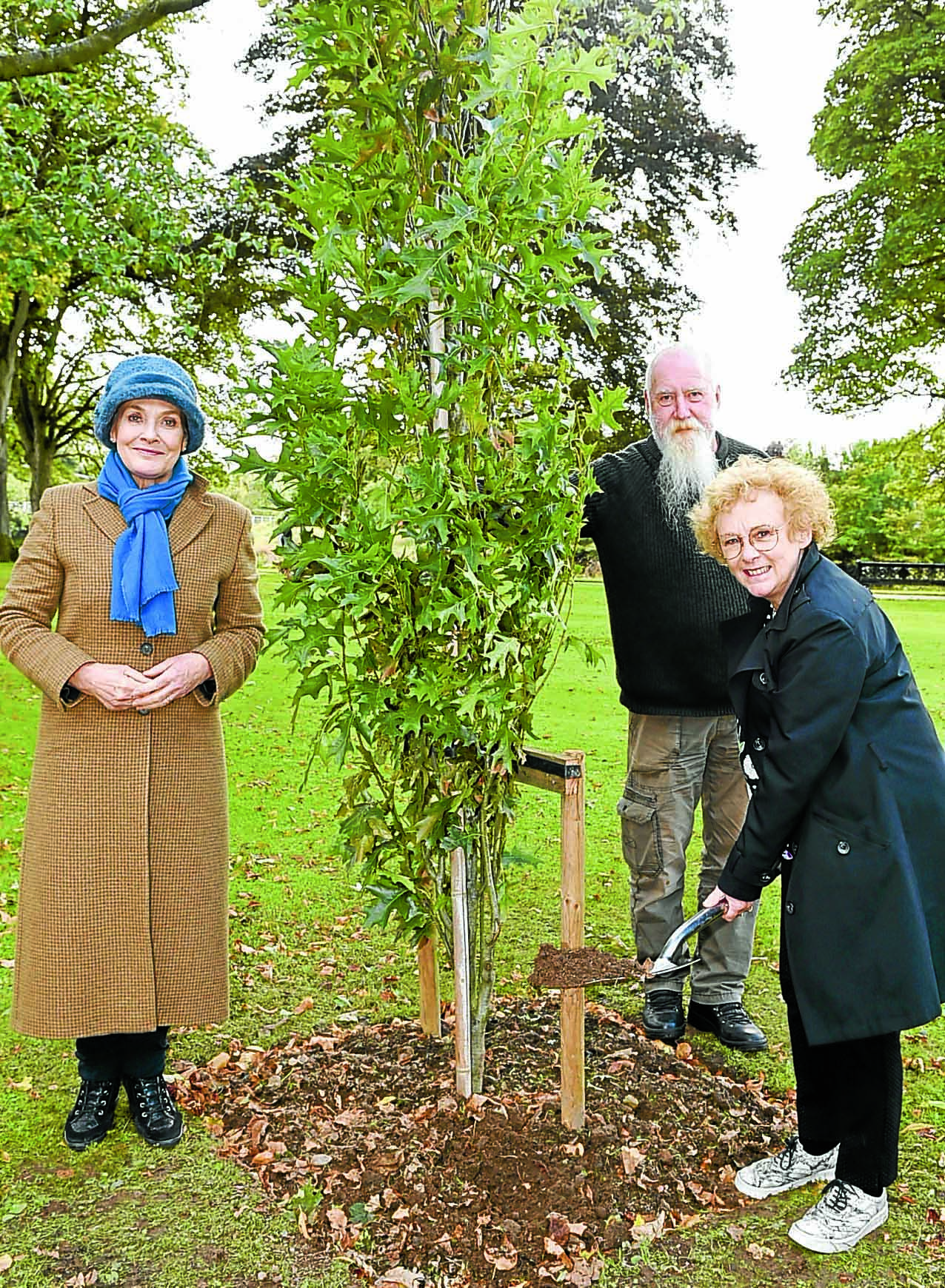 Jubilee initiative off to a tree-mendous start