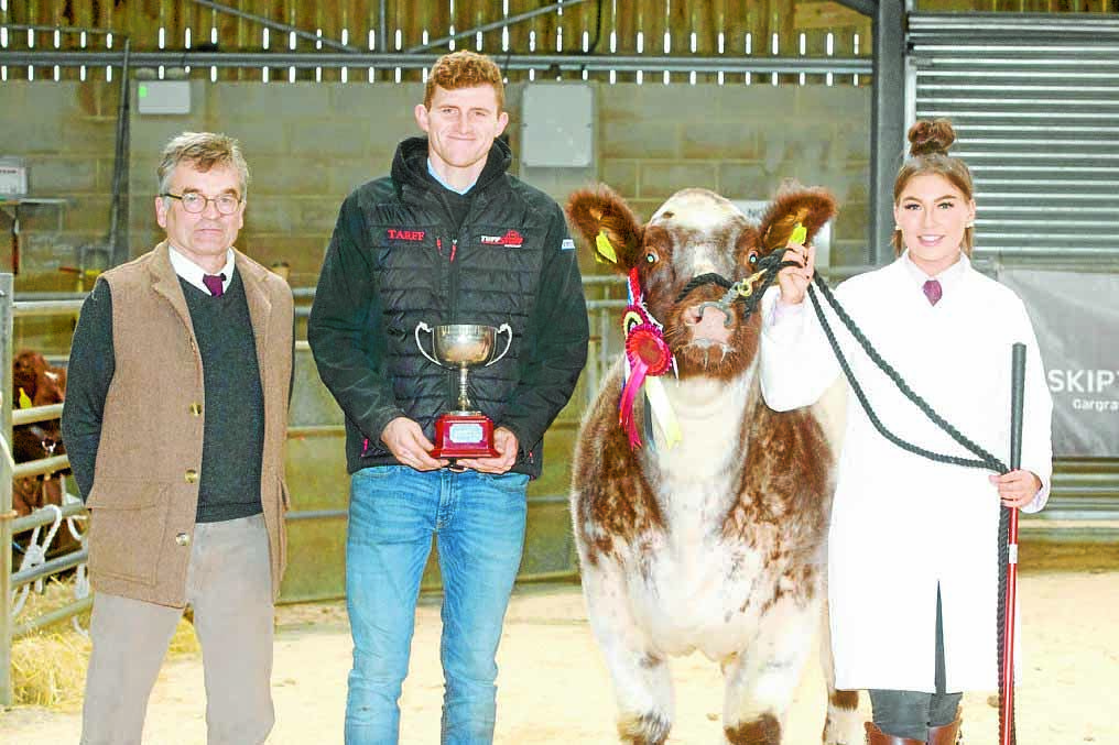 Brothers triumph at shorthorn sale