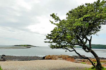 Conservation charity backs National Park proposal