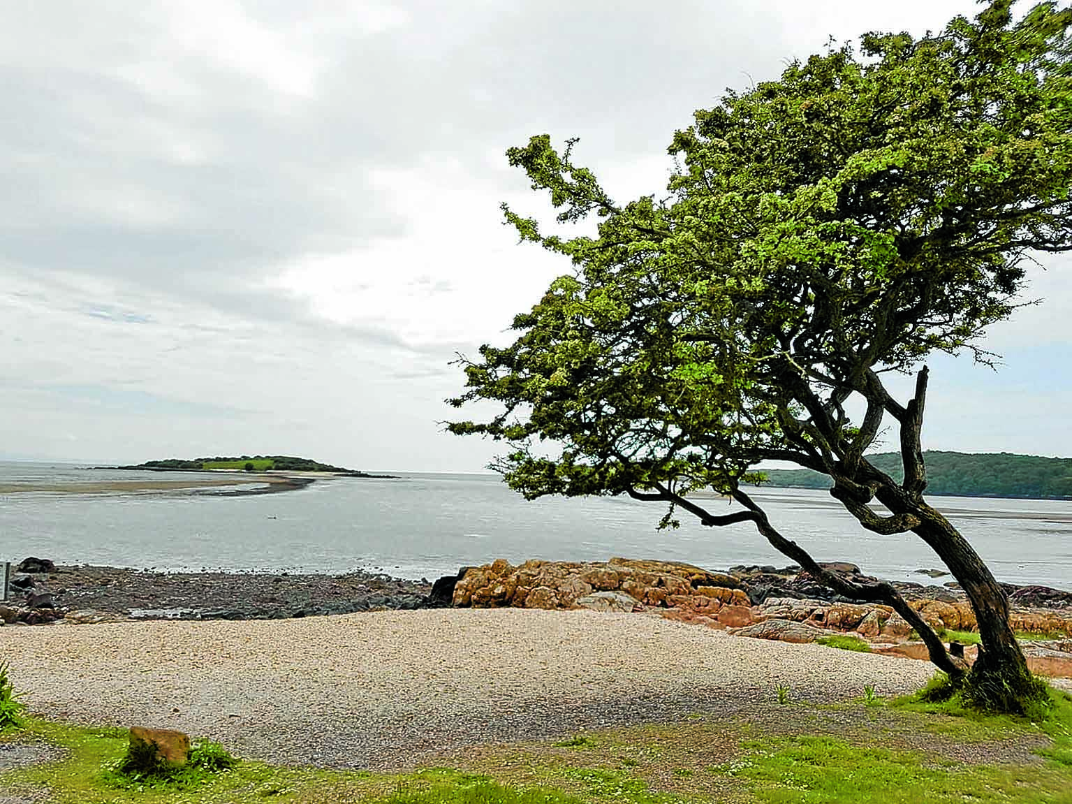 Conservation charity backs National Park proposal