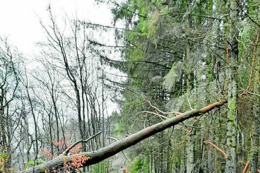 Storm damage closes reserve