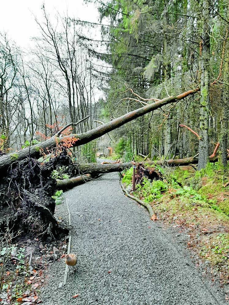 Storm damage closes reserve