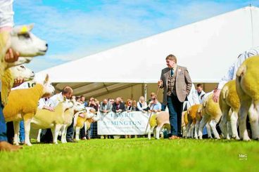 Royal show announces judging line up