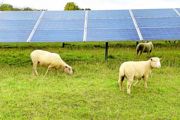 Potential Chapelcross use for solar energy