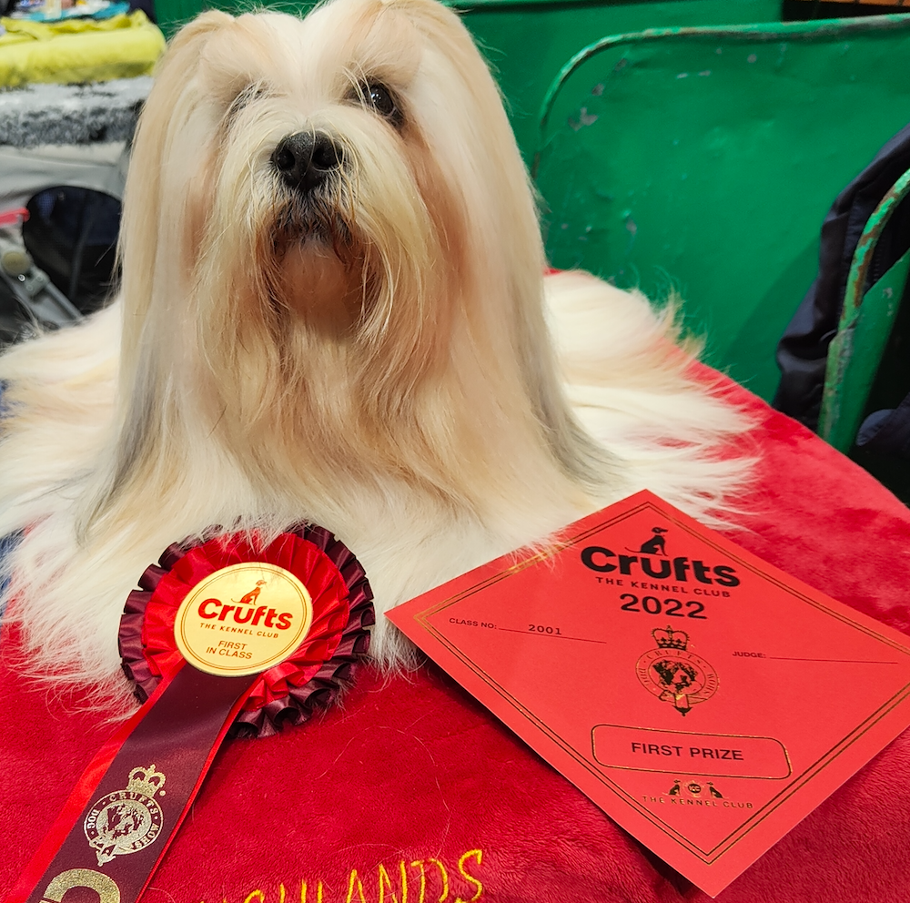 Crufts joy for Annandale dogs