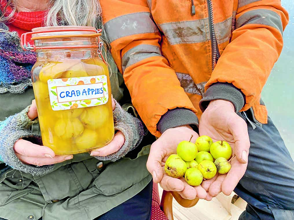 Mission to save the region’s crab apples