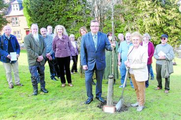 Oak tree is reminder of pandemic