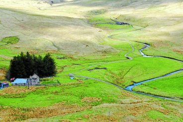 Parliament praise for moor buyout