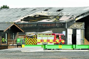 Sawmill damaged in blaze