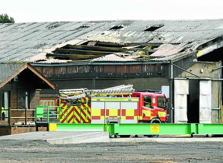 Sawmill damaged in blaze