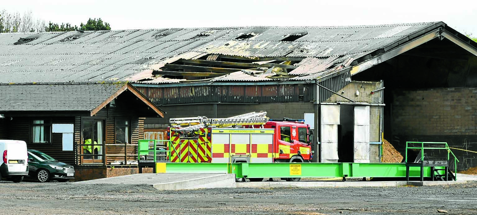 Sawmill damaged in blaze