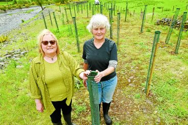 Planting up the river banks