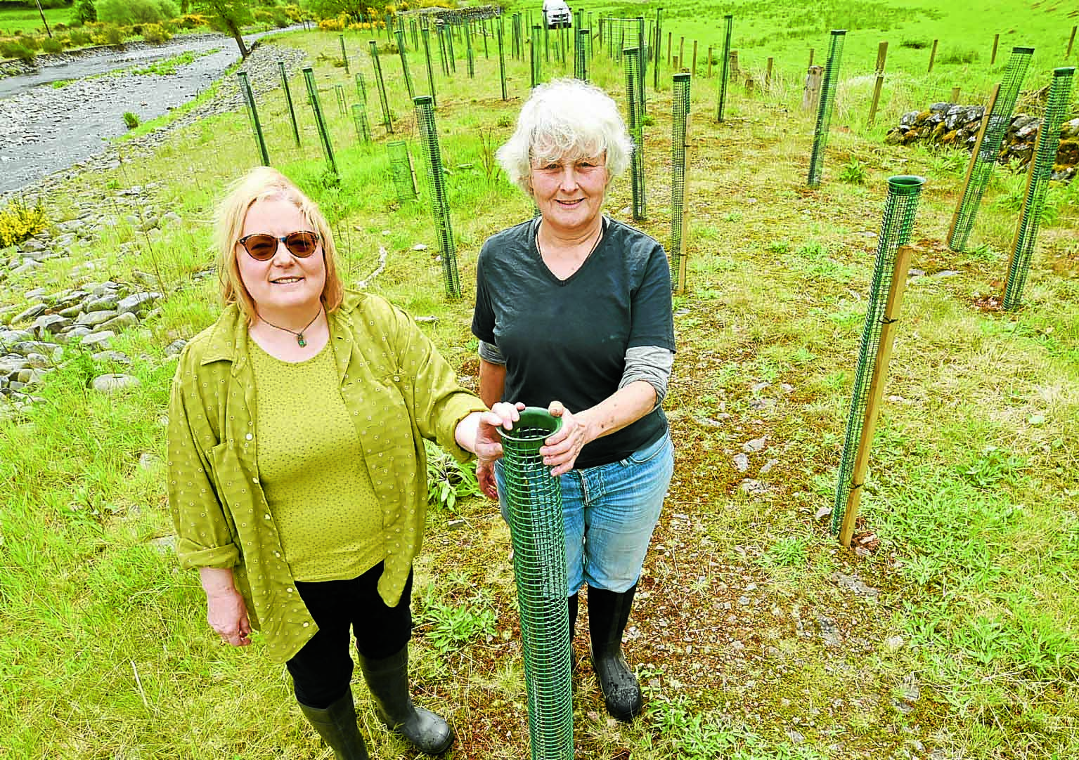 Planting up the river banks
