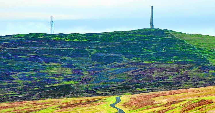 Peat project to start