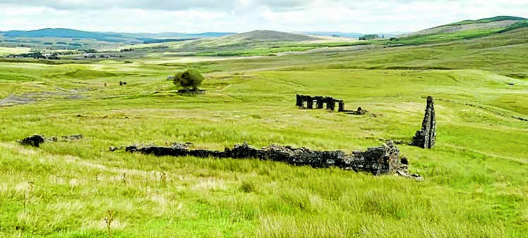 Digging into the area’s past