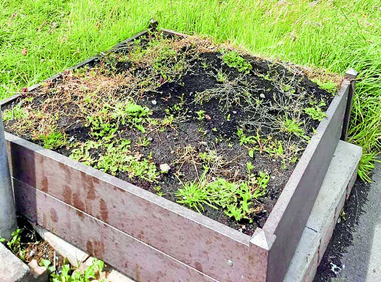 Garden waste service will cost £40 per year