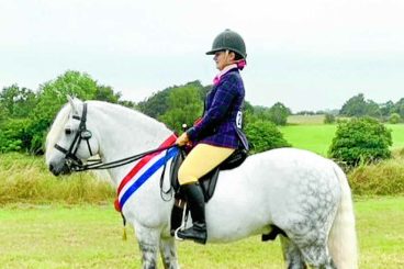 Pony qualifies for international show