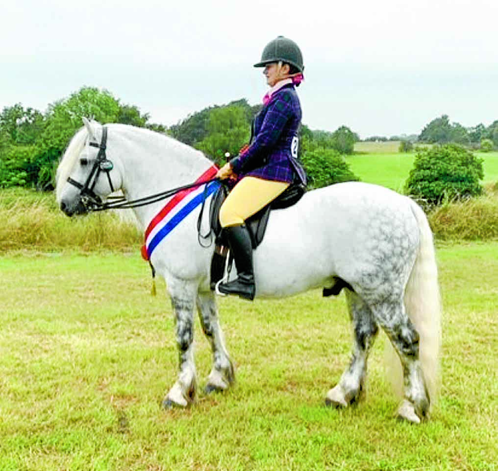 Pony qualifies for international show