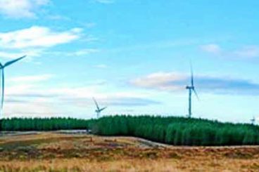 Windfarms give boosts to community groups