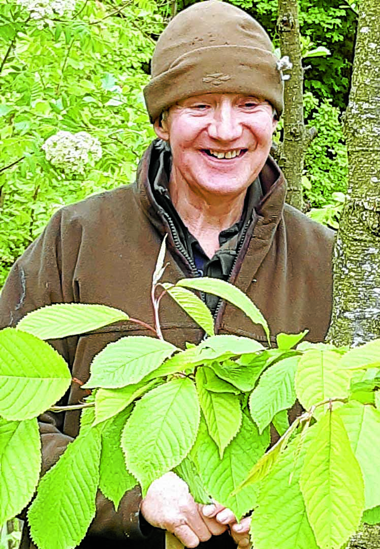 Woodland work wins award for farmers