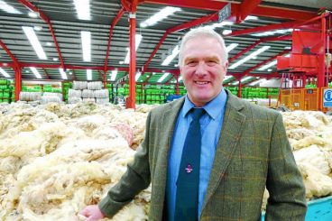 Search is on for future shearers
