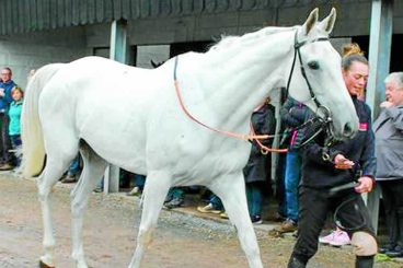 Trainer opens doors to public
