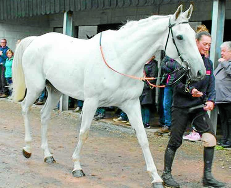 Trainer opens doors to public
