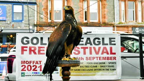 Vote plea from eagle project