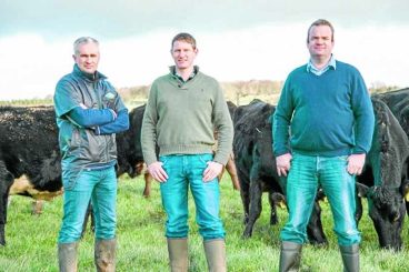 Breeding project wows judges