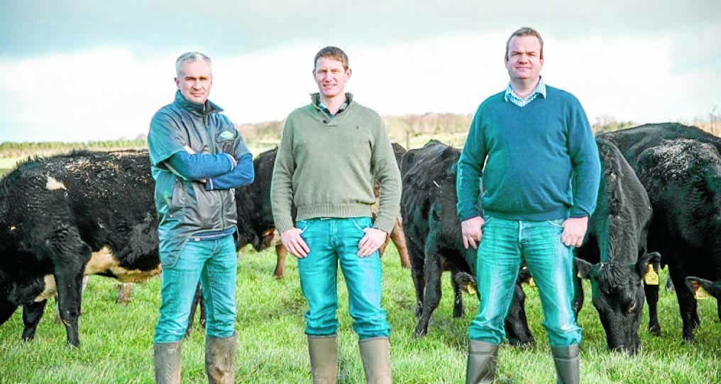 Breeding project wows judges