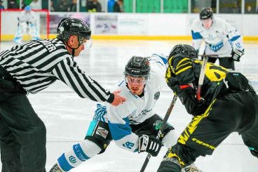 Sharks bounce back