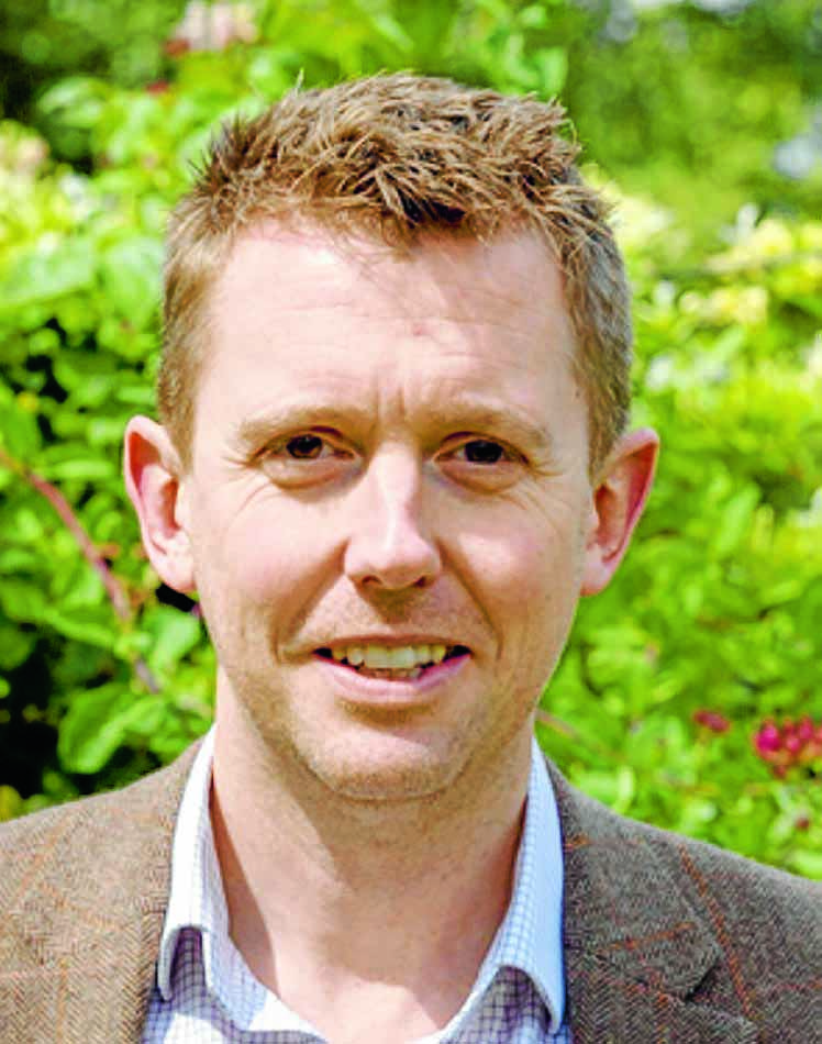 David to lead destination group in 2023