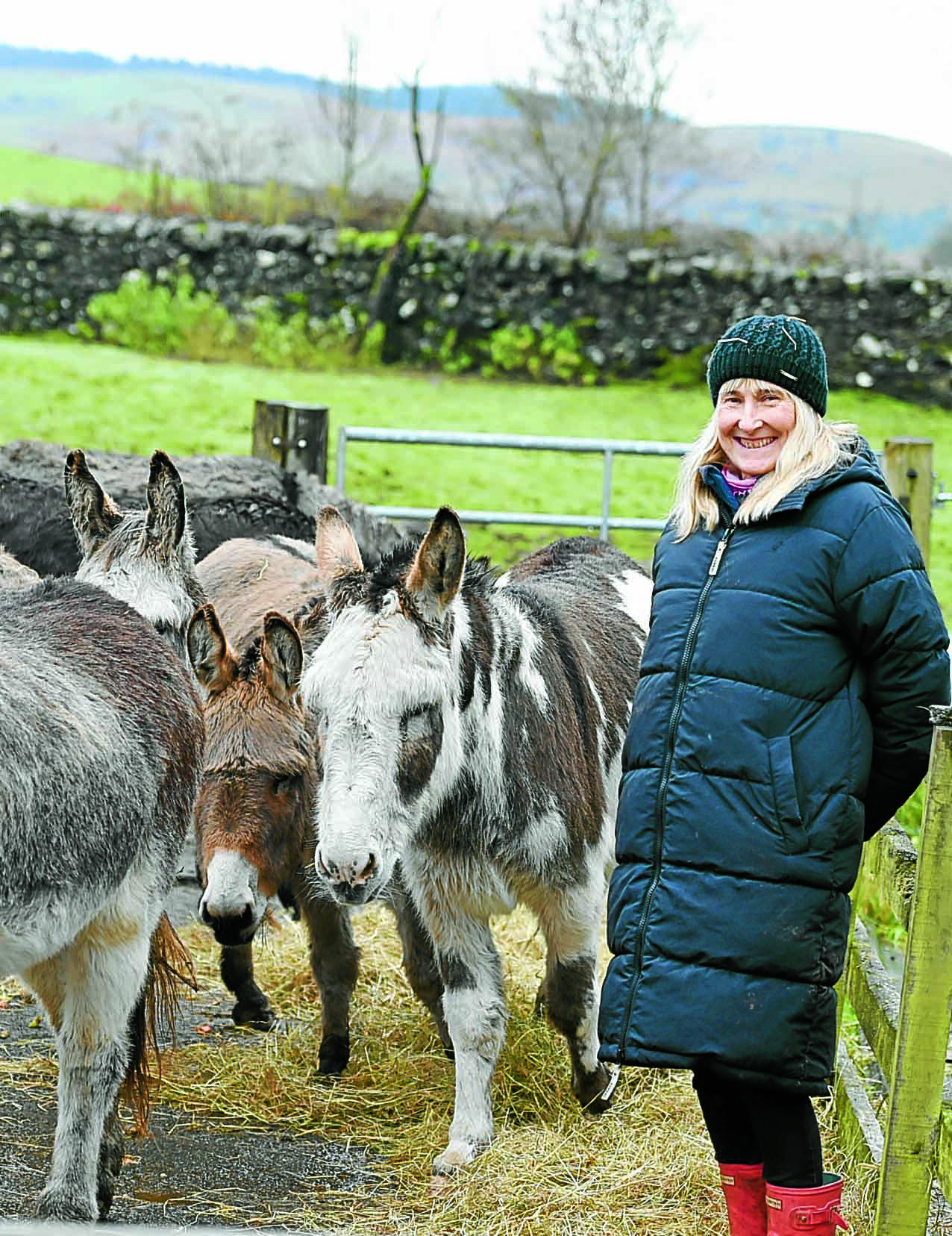 Donkeys are about more than Christmas