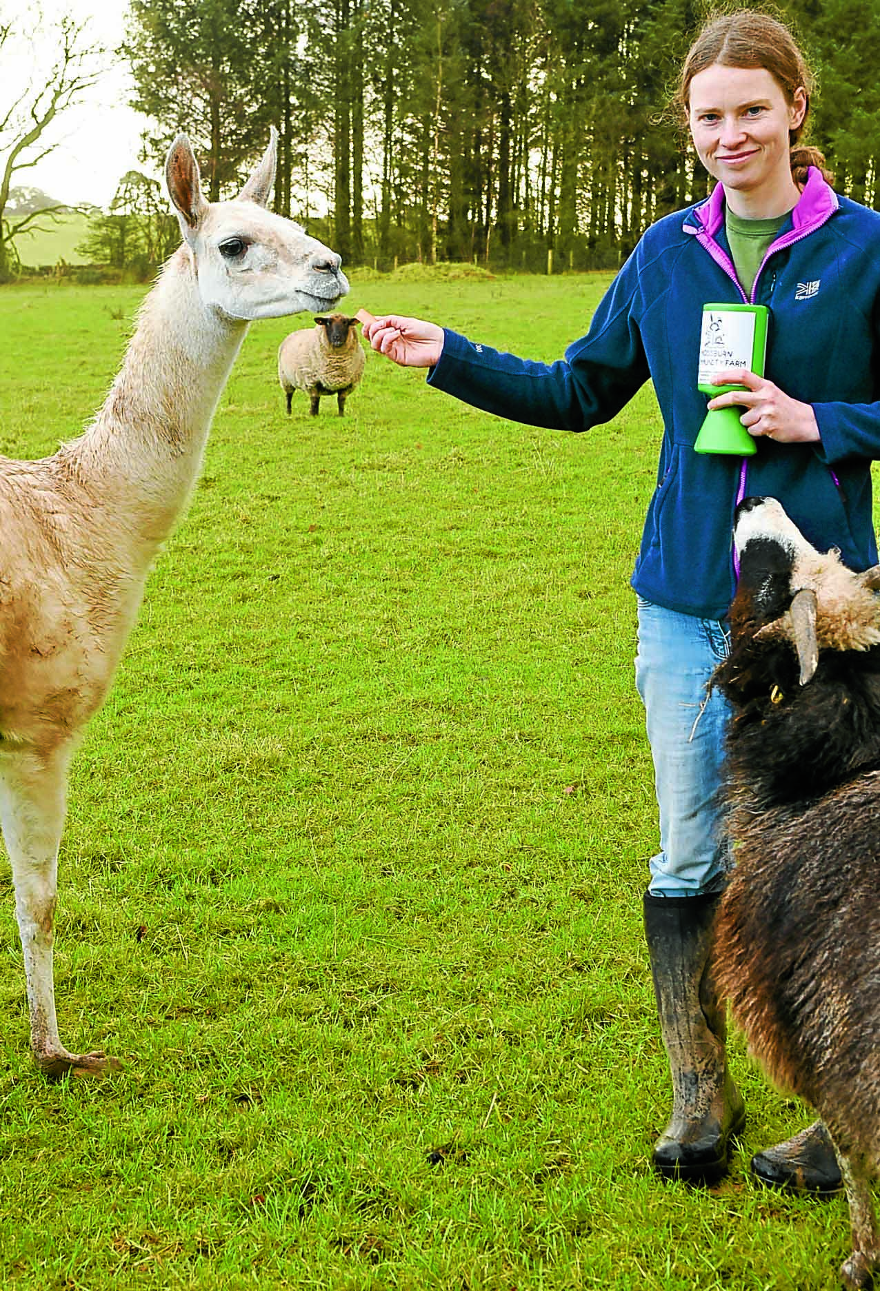 Sanctuary in animal care plea - DNG Online Limited Sanctuary in animal care plea - DNG Online Limited