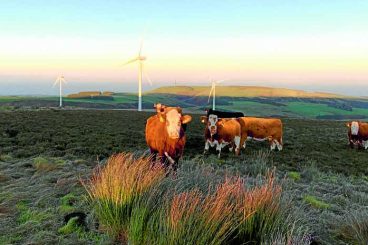 Changes made to windfarm scheme