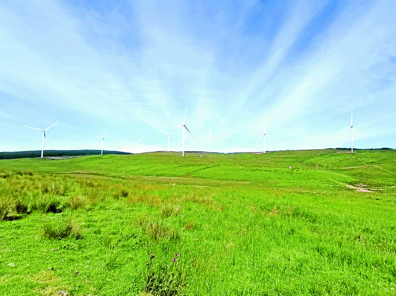 Windfarm makes first community grants