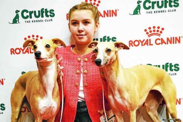 Crufts joy for handlers and dogs