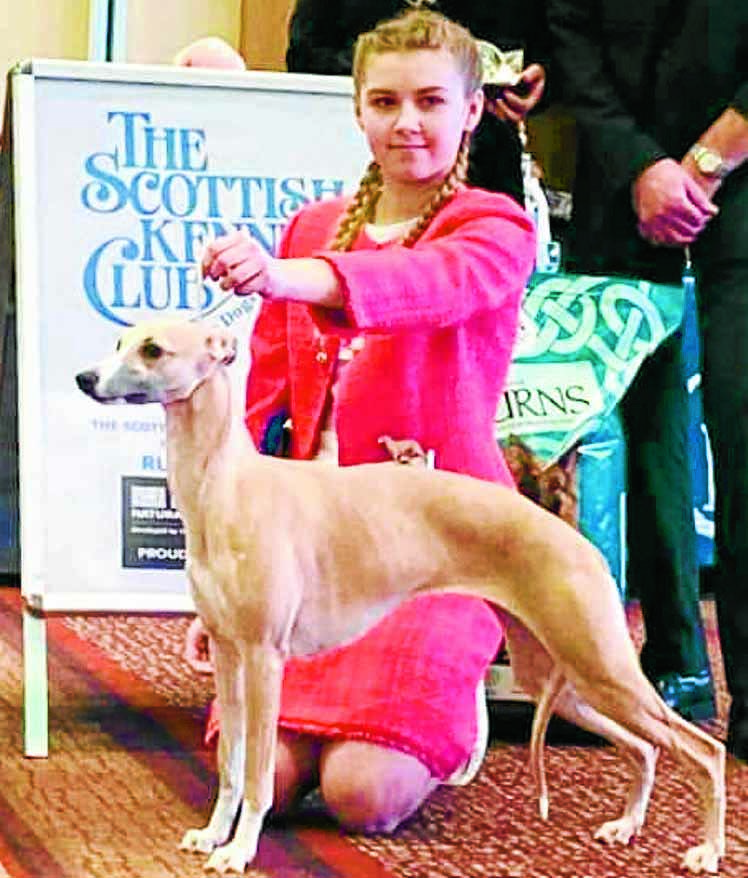 Local competitors ready for dog show