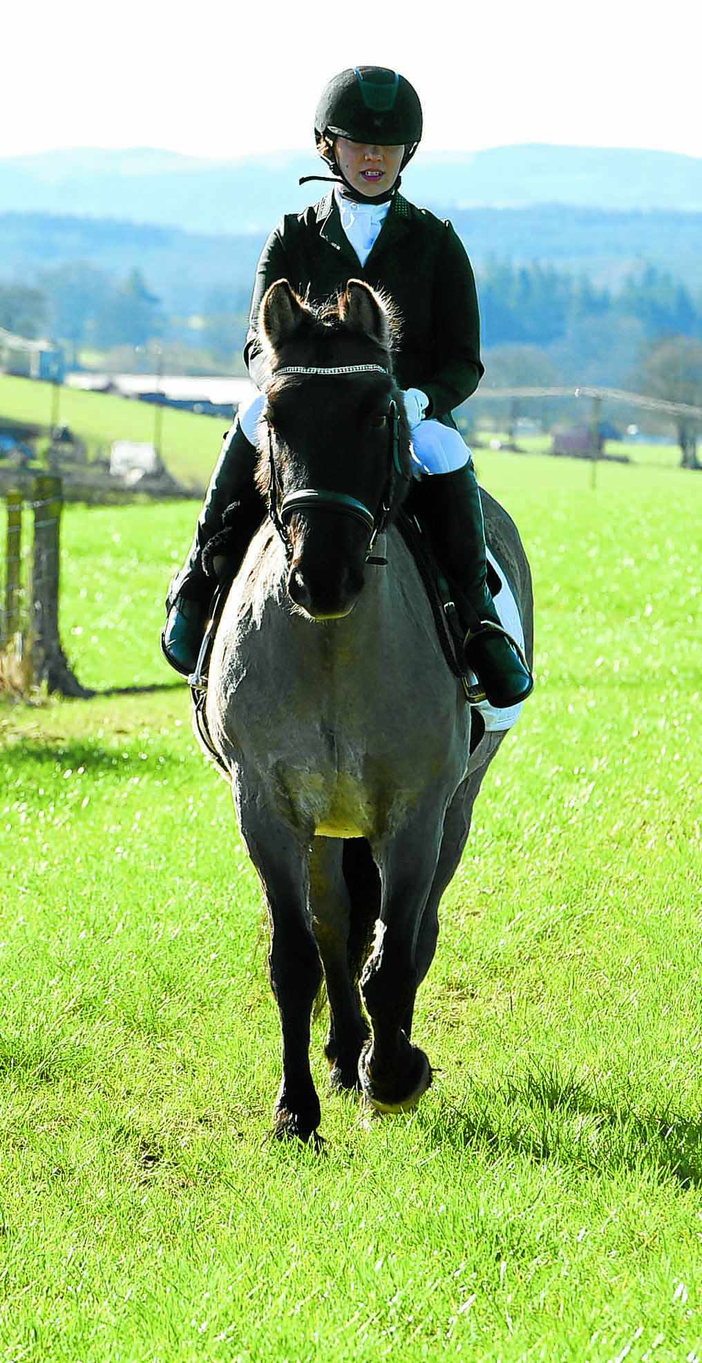 Dressage decision for Shelby