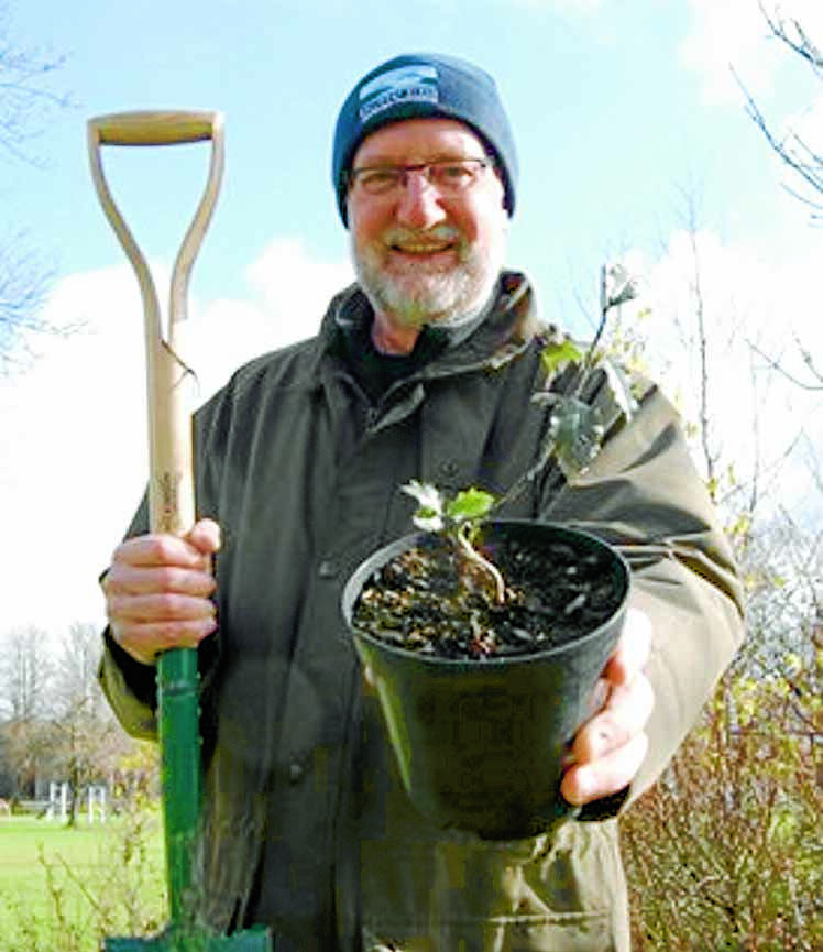 Tree grants available now