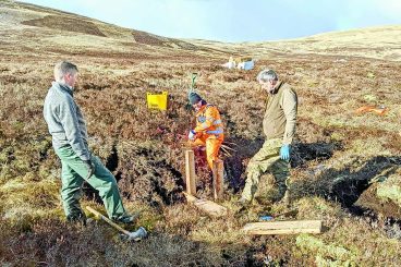 Peatlands a priority for major south estate