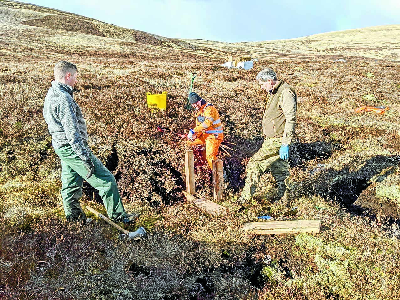 Peatlands a priority for major south estate