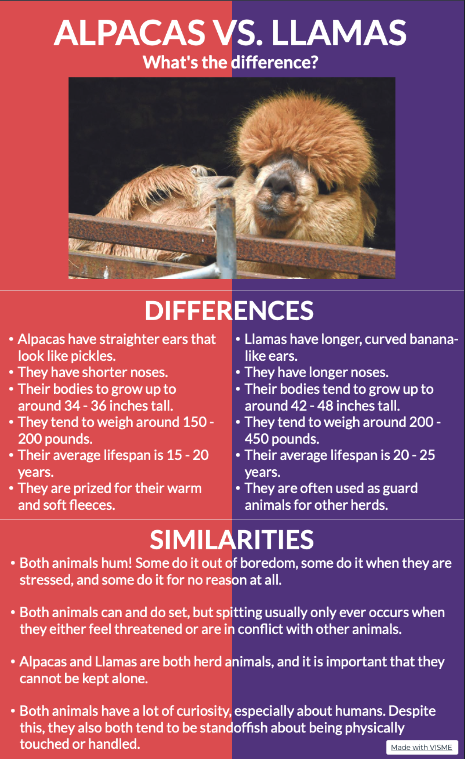 alpaca vs llama -whats the difference