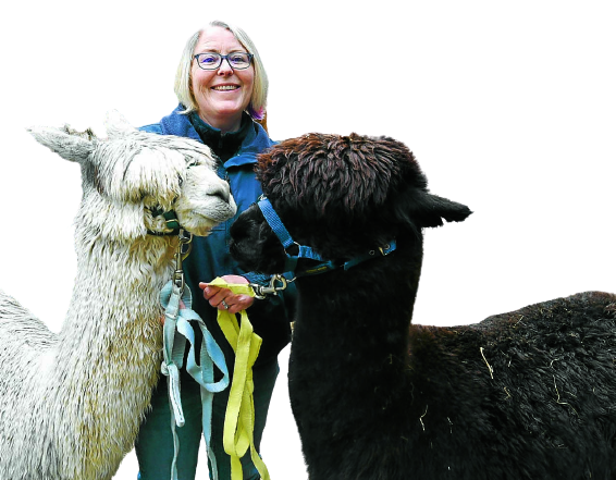 owner with black and white animals