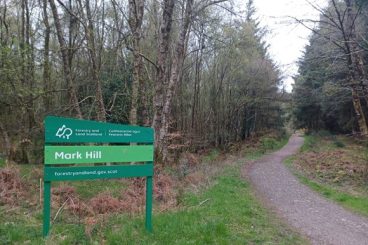Forest future feedback sought