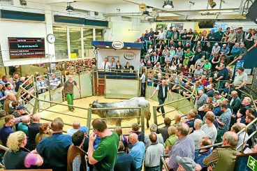 ‘Extraordinary’ sale of Lockerbie herd